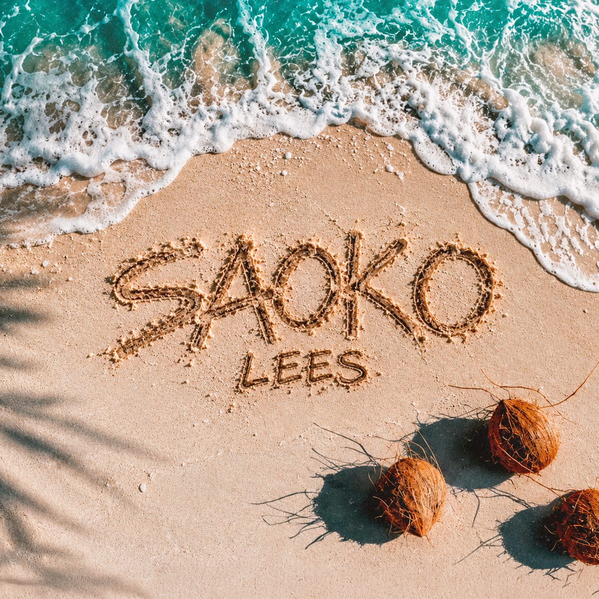 Portada de Saoko
