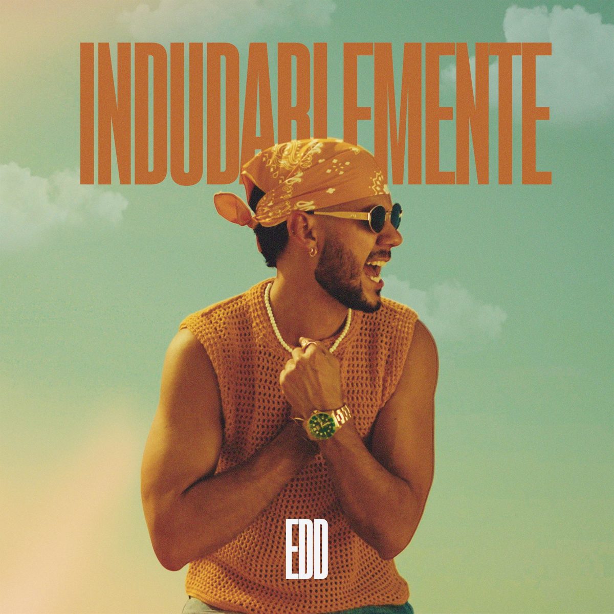 Portada de INDUDABLEMENTE